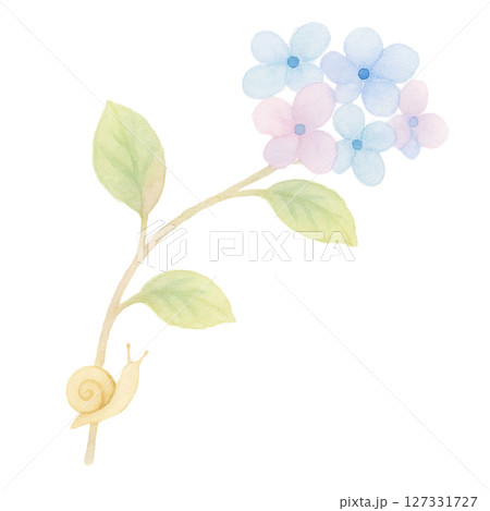 紫陽花とカタツムリのシンプルな水彩イラスト・梅雨のやさしい装飾素材(切り抜きPNG) 紫陽花とカタツムリのシンプルな水彩イラスト・梅雨のやさしい装飾素材(切り抜きPNG) 127331727