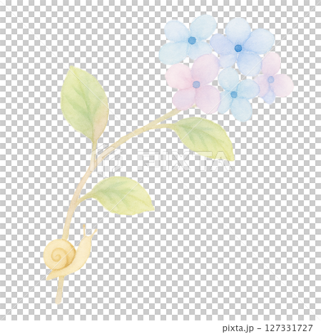 紫陽花とカタツムリのシンプルな水彩イラスト・梅雨のやさしい装飾素材(切り抜きPNG) 紫陽花とカタツムリのシンプルな水彩イラスト・梅雨のやさしい装飾素材(切り抜きPNG) 127331727