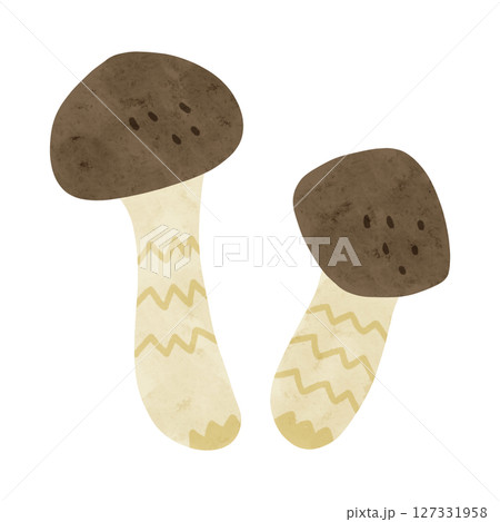 松茸　水彩風手描きイラスト 127331958
