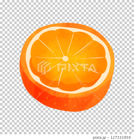 橙色橫切面水彩手繪插圖 127331959