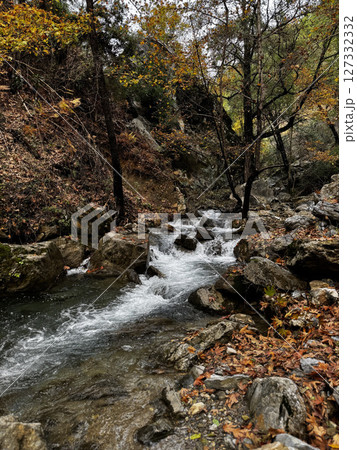 mountain river fast for waterfall rapids stream autumn. High quality photo 127332332