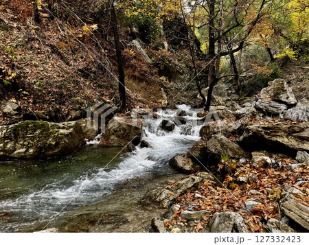 mountain river fast for waterfall rapids stream autumn. High quality photo 127332423