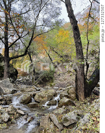 mountain river fast for waterfall rapids stream autumn. High quality photo 127332507