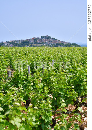 フランス、サンセール。遠目から見た丘の上にあるサンセール村。2025年6月9日撮影。 フランス、サンセール。遠目から見た丘の上にあるサンセール村。2025年6月9日撮影。 127332770