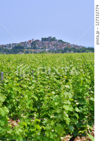 フランス、サンセール。遠目から見た丘の上にあるサンセール村。2025年6月9日撮影。 フランス、サンセール。遠目から見た丘の上にあるサンセール村。2025年6月9日撮影。 127332774
