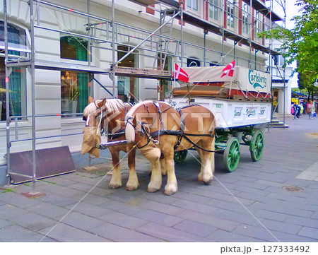 Two Horses standing with an old cart on the street with a Danish flag, Herning in Denmark Two Horses standing with an old cart on the street with a Danish flag, Herning in Denmark 127333492