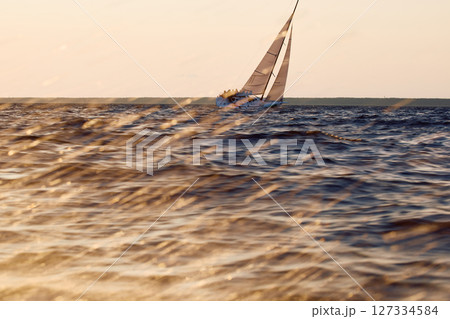 Sailing regatta in the Gulf of Finland at sunset, sailing yacht competing in a race, splashing water from under the boat, teamwork, board the boat 127334584