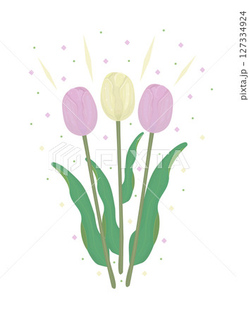 Pink and yellow tulips, three flowers, colorful illustration 127334924