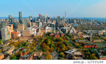 Toronto city skyline revealing iconic cn tower and university of toronto campus, featuring vibrant green trees framing urban landscape during bright daytime hours. Urban style concept Canada 127335289