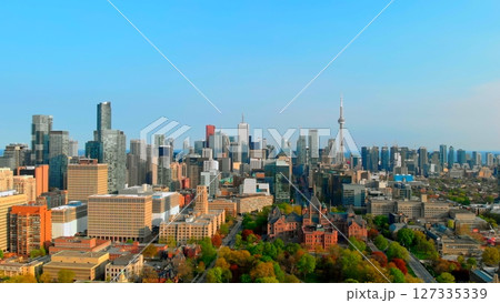 Toronto city skyline shows the cn tower and the university of toronto campus with its green spaces and surrounding buildings under a clear blue sky. Urban style concept Canada 127335339