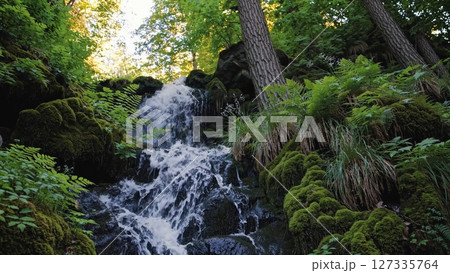 Crystal clear waterfalls cascade down mossy rocks, surrounded by vibrant green ferns and trees, creating a serene and picturesque natural landscape 127335764
