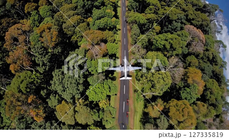 White private jet smoothly taxiing along paved roadway winding through lush green forest, creating mesmerizing mirror like reflection on road surface beneath verdant woodland environment 127335819