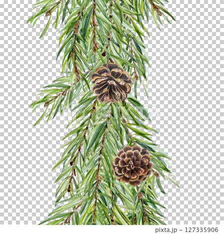 Fir branches seamless watercolor seamless border. Hand-painted evergreen foliage design ideal for packaging, fabric, wallpaper, holiday cards, branding, eco products, seasonal decorations, holiday 127335906