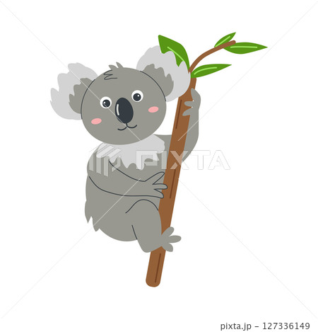 Wild animals cute koala bear baby character. Greeting card template for children zoo tickets banner. Vector illustration. 127336149