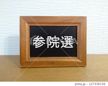 参議院選挙 127336156