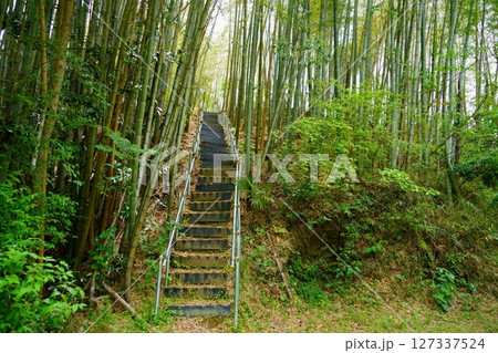 破壊された古墳時代初期の前方後円墳・椿井大塚山古墳13・墳丘への登り口 127337524
