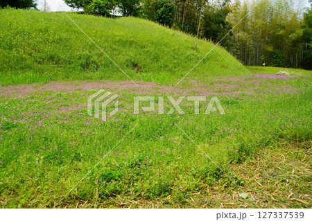破壊された古墳時代初期の前方後円墳・椿井大塚山古墳3・後円部 127337539