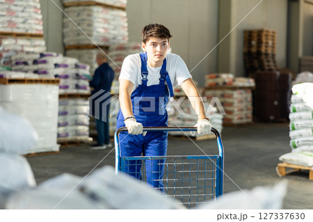 Guy worker carries pushes cart trolley for cargo transportation. Guy worker carries pushes cart trolley for cargo transportation. 127337630