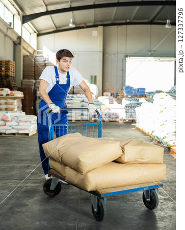 In warehouse of store, stevedore loader young man pushes and carries large cart for bulky cargo In warehouse of store, stevedore loader young man pushes and carries large cart for bulky cargo 127337796