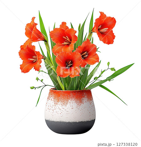 Stylish orange Gladiolus flowers in decorative pot, showcasing vibrant colors and lush green leaves, perfect for home decor 127338120