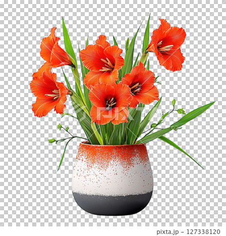 Stylish orange Gladiolus flowers in decorative pot, showcasing vibrant colors and lush green leaves, perfect for home decor 127338120