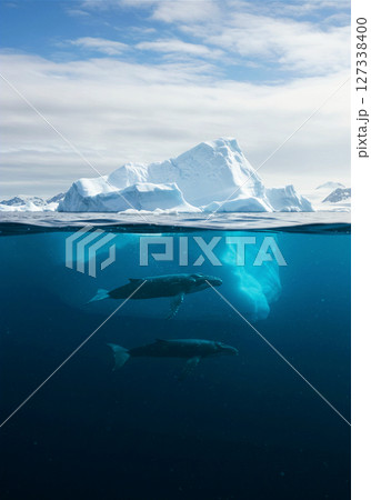 氷山の下を泳ぐクジラと昼の青空と海 127338400