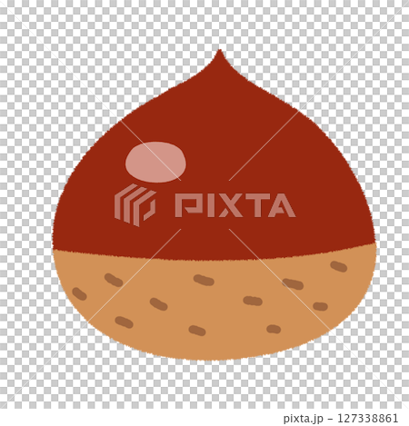 Simple hand drawn chestnut illustration 127338861