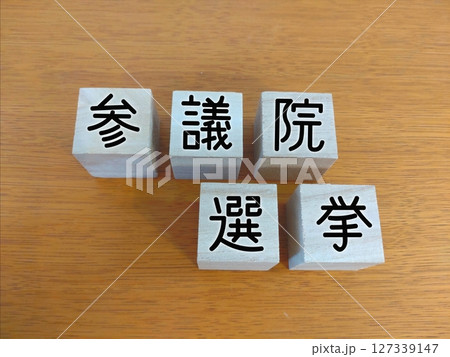 参議院選挙 127339147