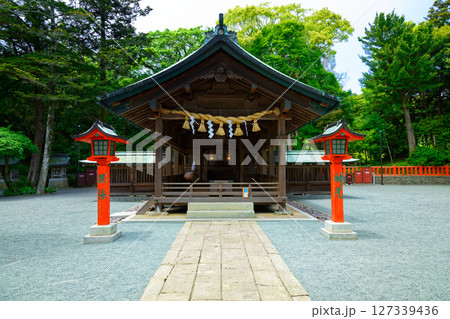 宗像大社中津宮 照海 神光 宗像大社中津宮 照海 神光 127339436