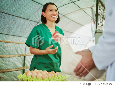Woman, chicken eggs or farming customer on countryside agriculture, sustainability environment or industry coop. Happy smile, talking poultry farmer or man in production sales deal or retail export 127339659