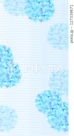 アジサイ　梅雨　花　背景	 127339671