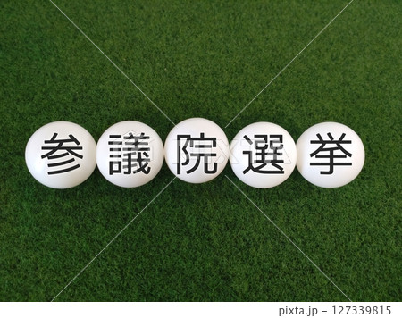 参議院選挙 127339815