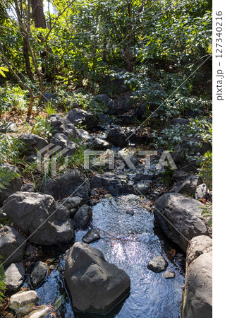 庭園の小さな川 庭園の小さな川 127340216