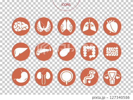 Organ icon pictogram vector illustration set 127340586