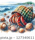海岸のヤドカリ　水彩画風 127340611