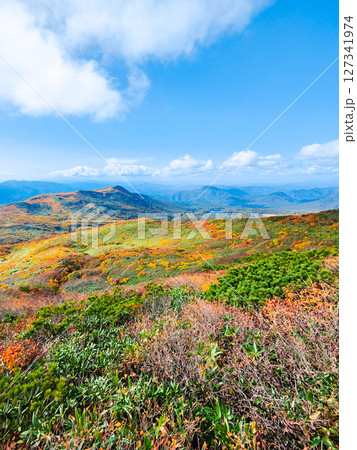 秋の栗駒山登山（栗駒山～秣岳：須川湖・秣岳方面の眺め） 127341974