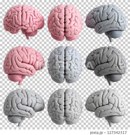 a set of medical images depicting intelligence and cerebral health 127342317