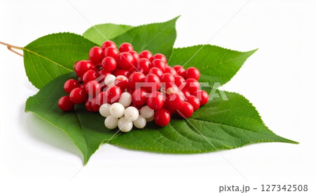 Vibrant red rose hips with green leaves isolated on white, resembling ripe berries or a sweet fruit Vibrant red rose hips with green leaves isolated on white, resembling ripe berries or a sweet fruit 127342508