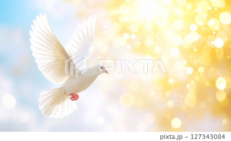 White dove, a symbol of peace and freedom, flying in the blue sky or perched on a branch, its beautiful white wings spread in flight White dove, a symbol of peace and freedom, flying in the blue sky or perched on a branch, its beautiful white wings spread in flight 127343084