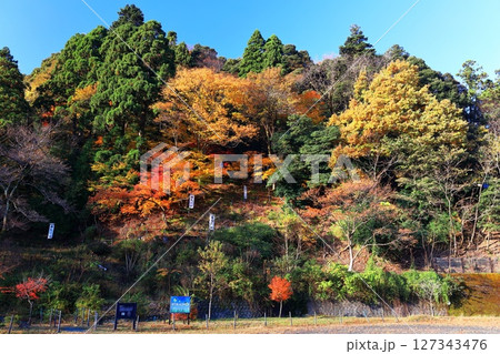【福井県】熊川陣屋跡の紅葉 127343476