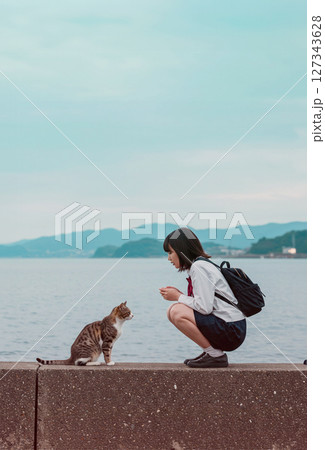 海辺で猫と向き合う少女。静かなひととき。 127343628