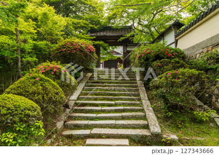新緑の三井寺の石段 127343666
