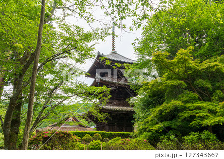 新緑の三井寺の三重塔 新緑の三井寺の三重塔 127343667