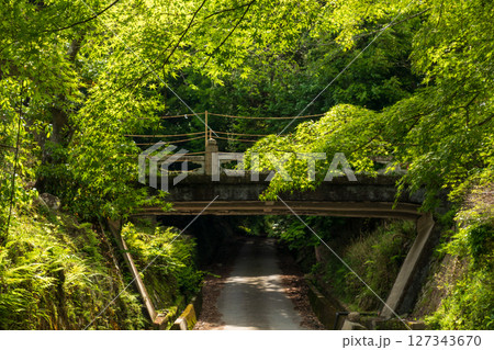 新緑の三井寺の参道 127343670