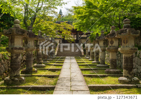 三井寺の新緑の参道 三井寺の新緑の参道 127343671