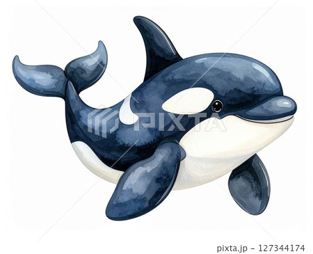 かわいい水彩画の動物シリーズ：シャチ 127344174
