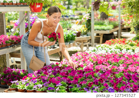 Girl choosing blooming Petunia in pots at local garden center Girl choosing blooming Petunia in pots at local garden center 127345527