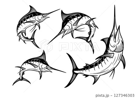 Set of four marlin fish in dynamic poses. Black and white vector in engraving style ideal for fishing, marine life, or seafood-themed designs. 127346303
