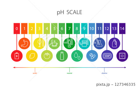 PH Scale balance. Indicator for concentration of hydrogen ion in solution. Ph food analysis or chemical test. Flat Vector illustration 127346335