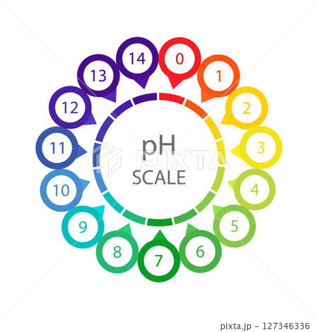 PH Scale. Acid and alkaline indicator. Chemical analysis or test. Education Poster. Vector illustration in flat style PH Scale. Acid and alkaline indicator. Chemical analysis or test. Education Poster. Vector illustration in flat style 127346336